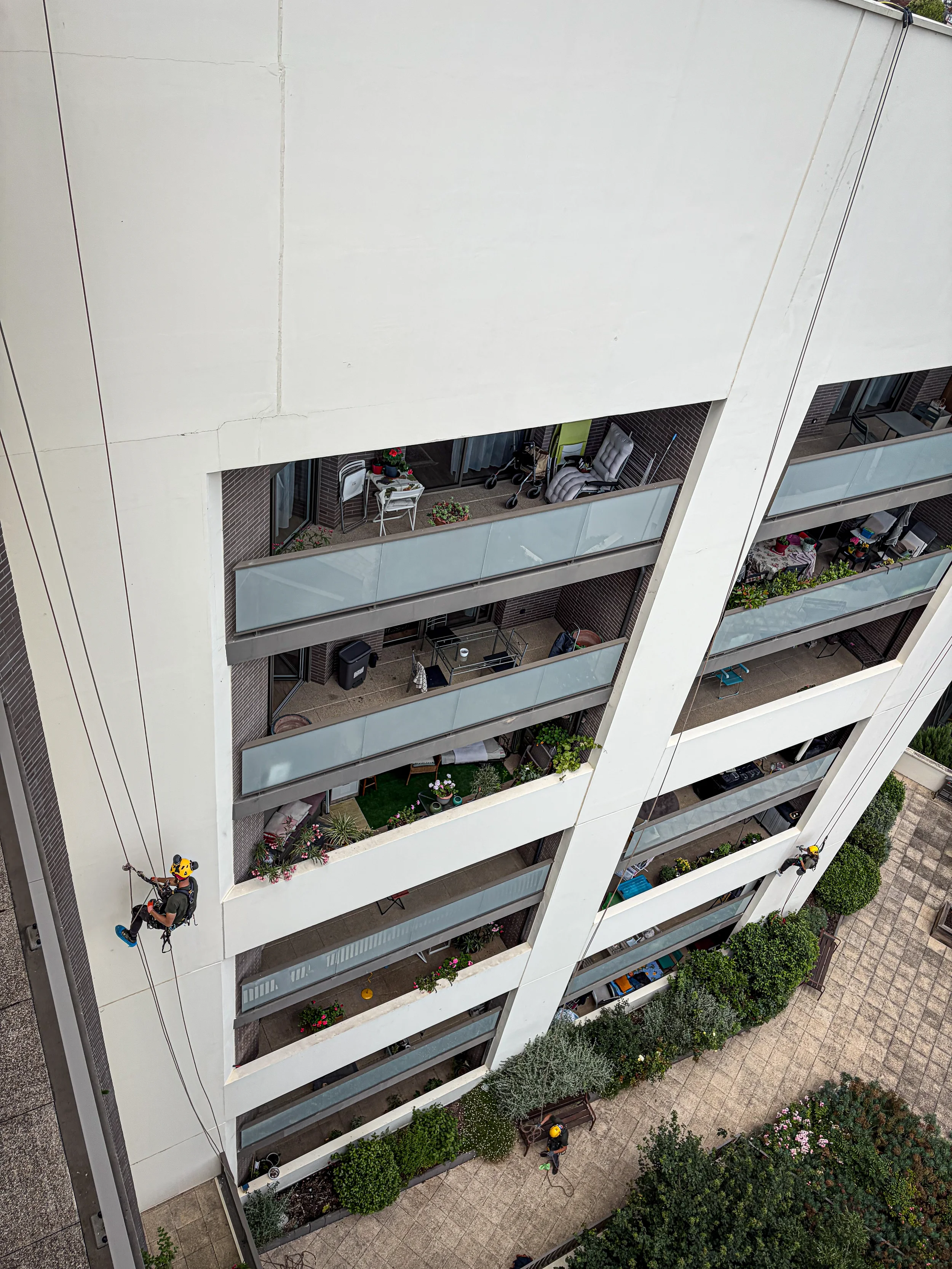 Intervention de cordistes MS Access pour suspendus pour inspecter chez DSA AQUITAINE à Bordeaux (bâtiment) – 2